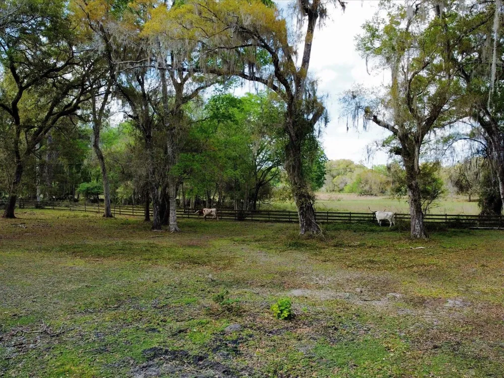 10820 SW 31ST WAY Webster, FL 33597