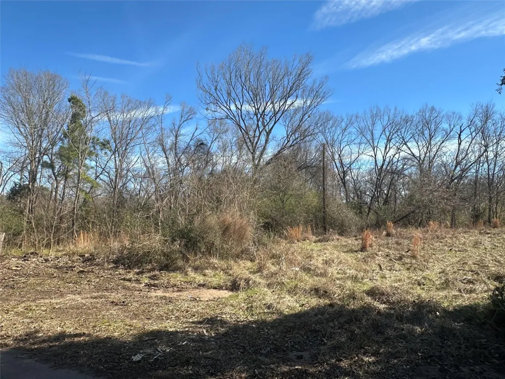 2 Josie Lane Buffalo, TX 75831