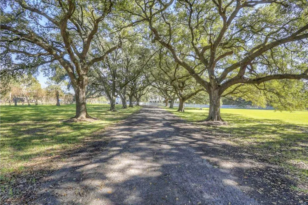 14939 Cullen Boulevard Houston, TX 77047