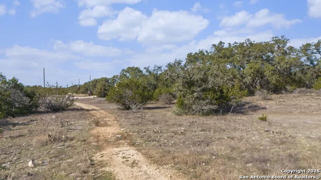 105 JOSEPH LILLEY Blanco, TX 78606