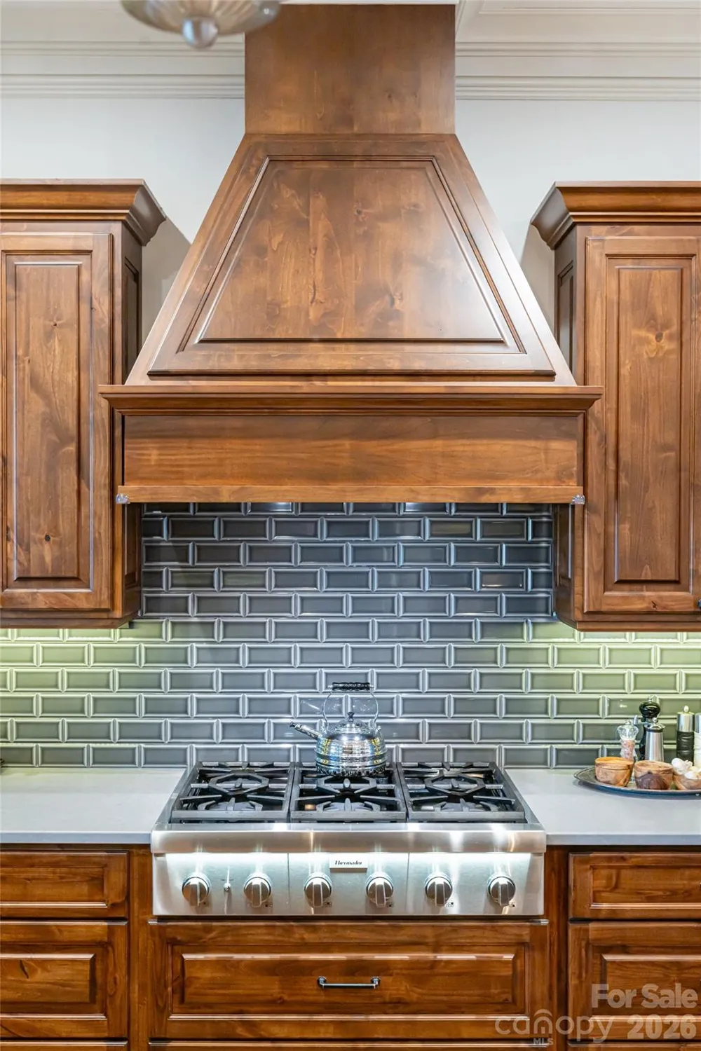 47 Twilight Sedge Drive Biltmore Lake, NC 28715