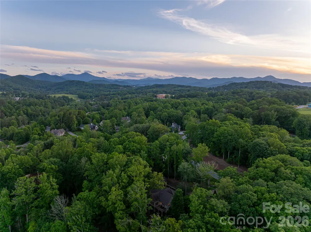 47 Twilight Sedge Drive Biltmore Lake, NC 28715