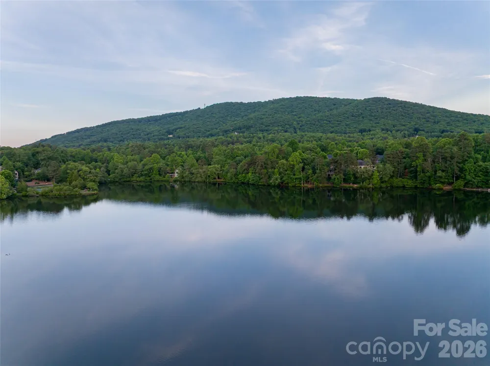 47 Twilight Sedge Drive Biltmore Lake, NC 28715