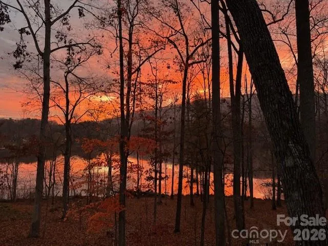 47 Twilight Sedge Drive Biltmore Lake, NC 28715