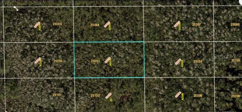 DILL ROAD Orlando, FL 32820