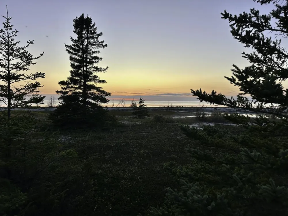 Mrs Reddings Trail Peaine Township, MI 49782