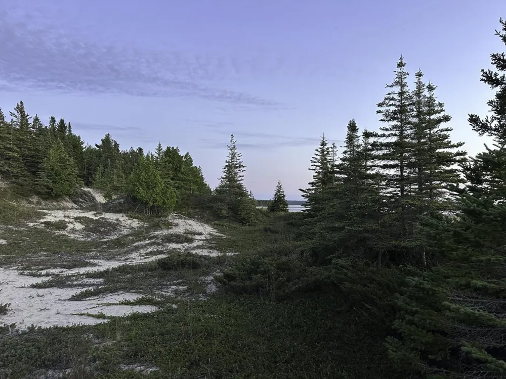 Mrs Reddings Trail Peaine Township, MI 49782