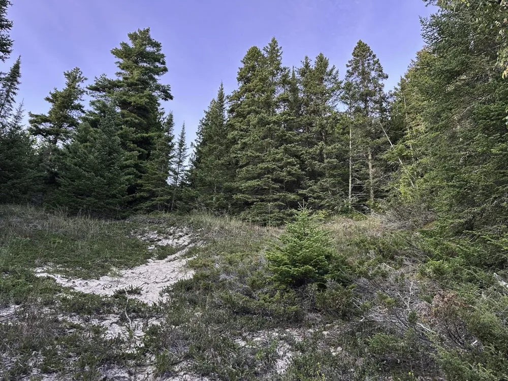 Mrs Reddings Trail Peaine Township, MI 49782