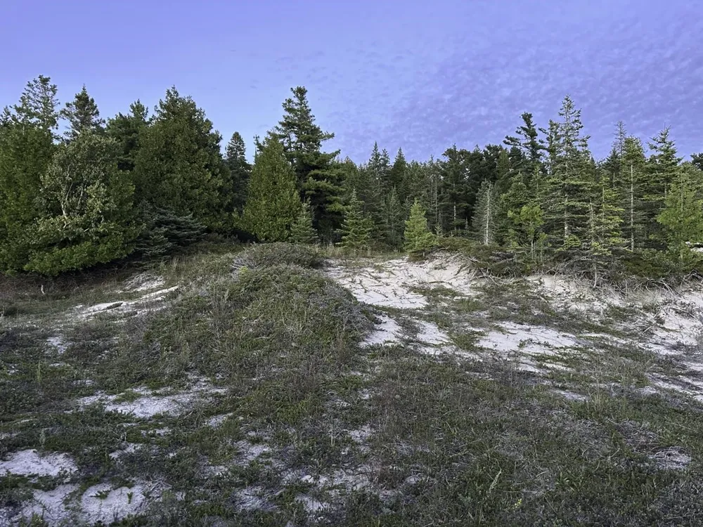 Mrs Reddings Trail Peaine Township, MI 49782