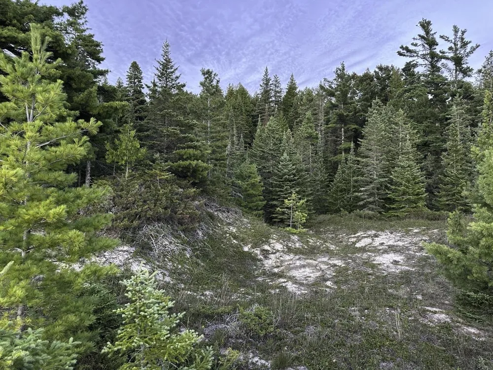 Mrs Reddings Trail Peaine Township, MI 49782