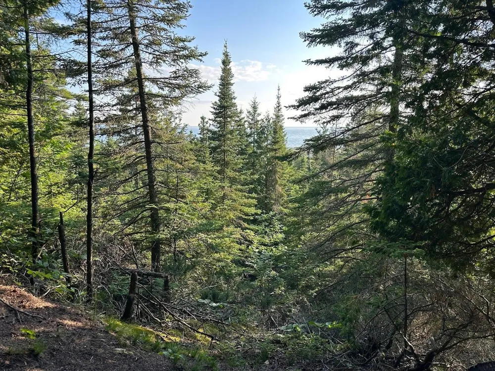 Mrs Reddings Trail Peaine Township, MI 49782