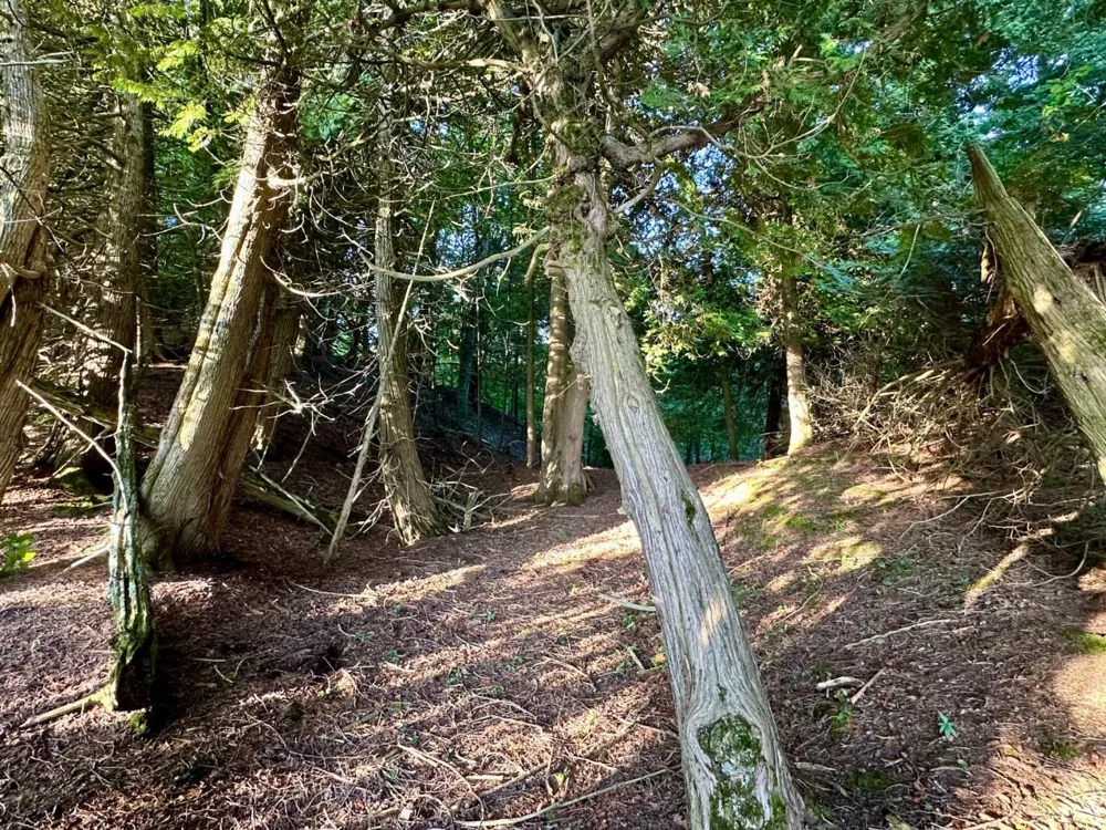 Mrs Reddings Trail Peaine Township, MI 49782