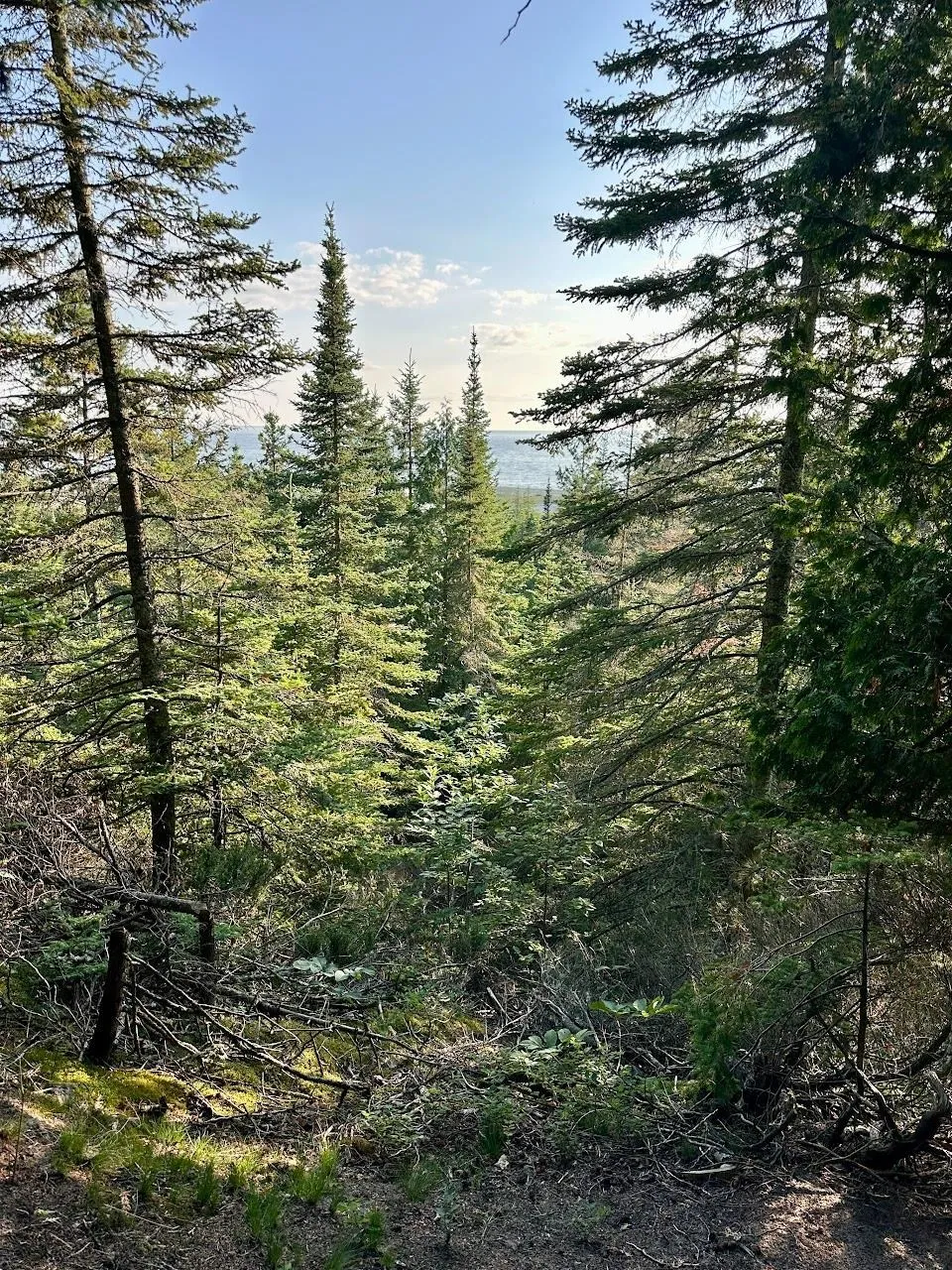 Mrs Reddings Trail Peaine Township, MI 49782