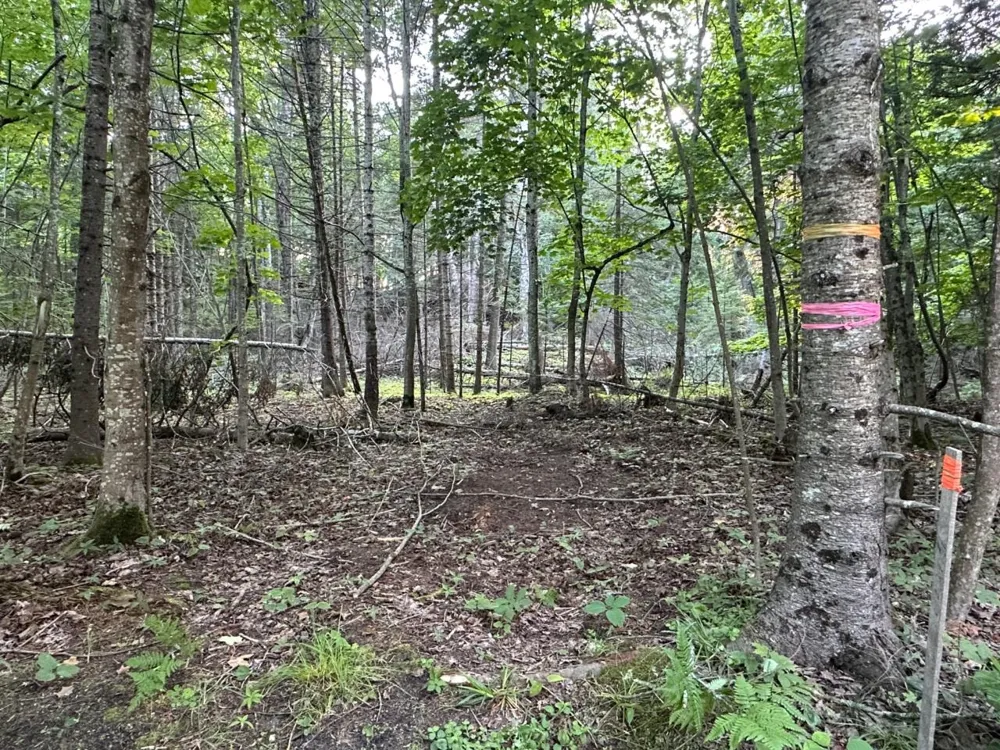 Mrs Reddings Trail Peaine Township, MI 49782