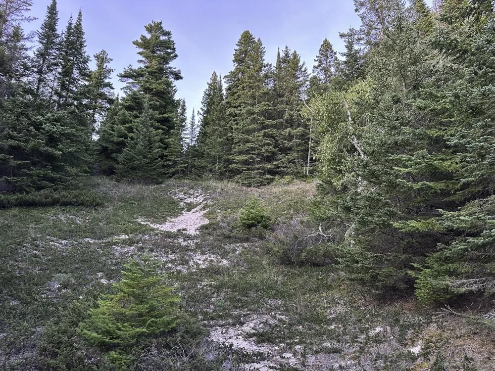 Mrs Reddings Trail Peaine Township, MI 49782