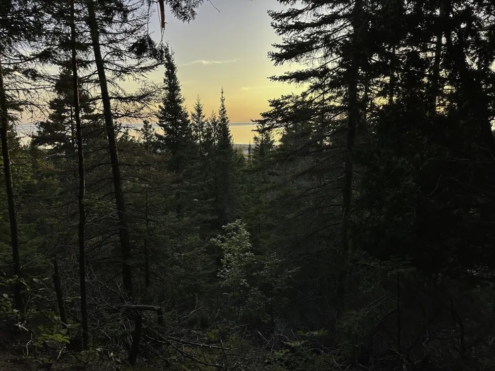 Mrs Reddings Trail Peaine Township, MI 49782