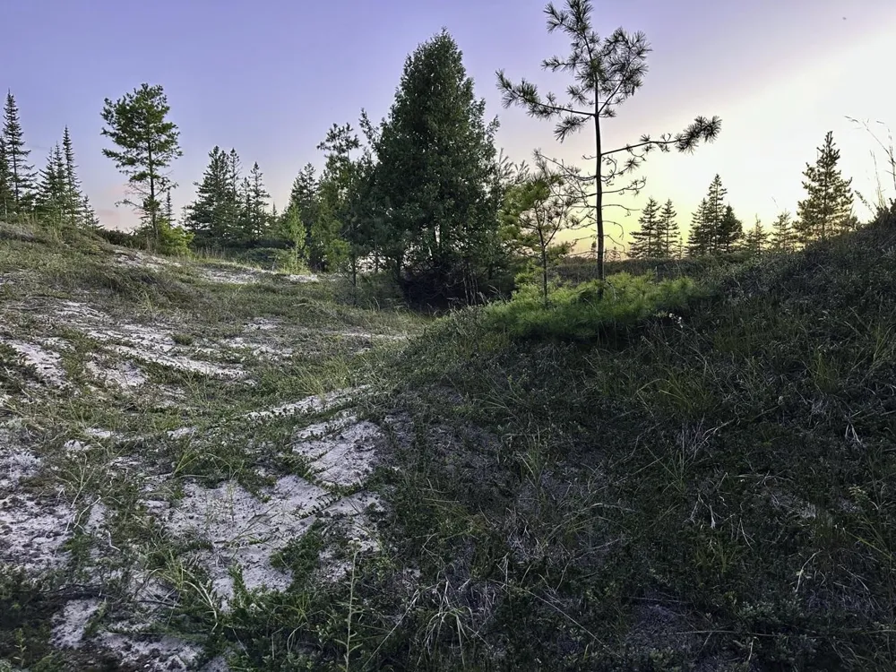 Mrs Reddings Trail Peaine Township, MI 49782