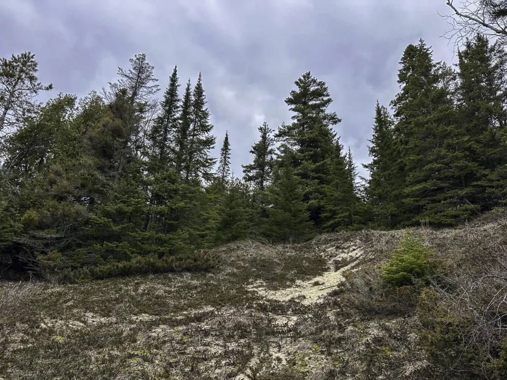 Mrs Reddings Trail Peaine Township, MI 49782