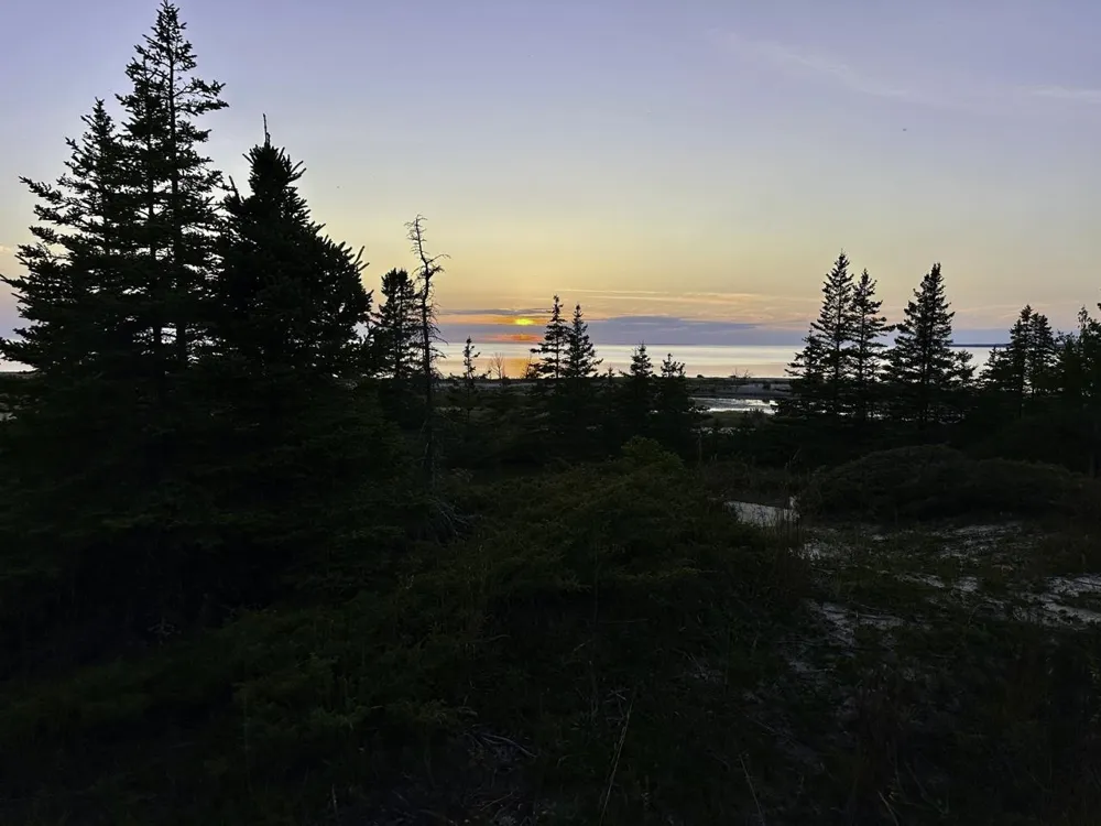 Mrs Reddings Trail Peaine Township, MI 49782