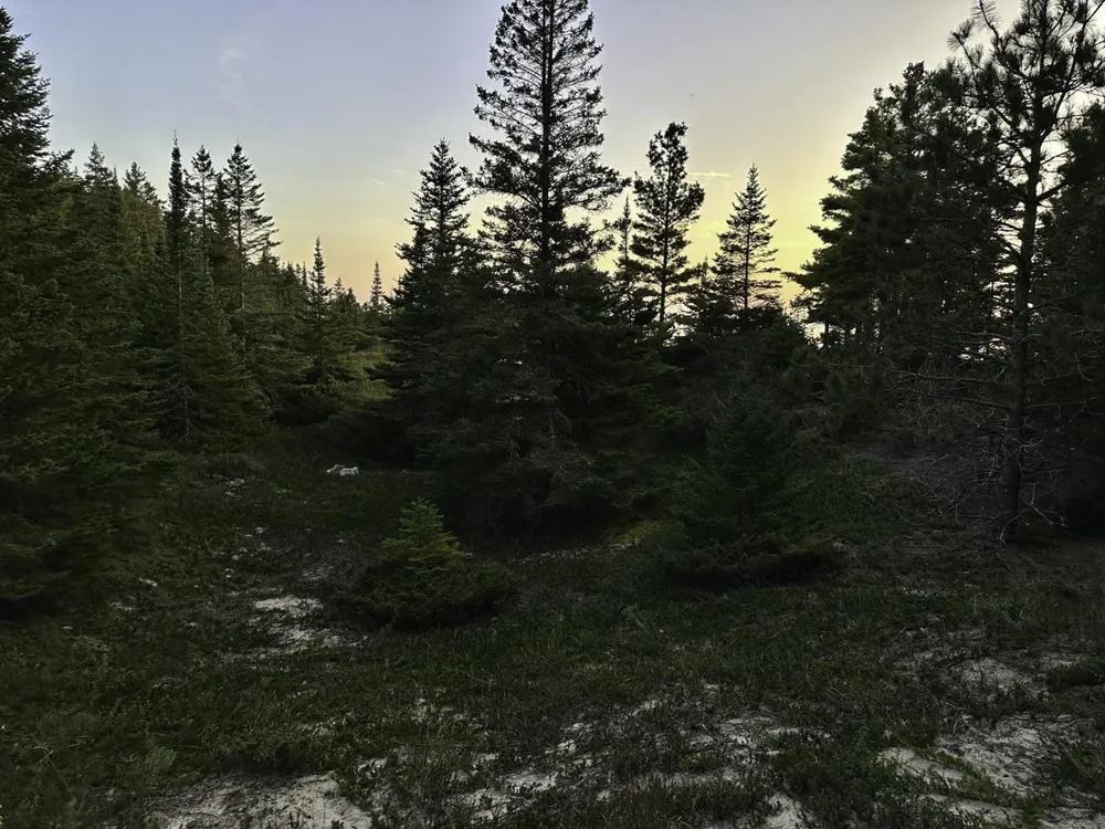 Mrs Reddings Trail Peaine Township, MI 49782