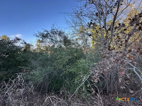 Kula Ct