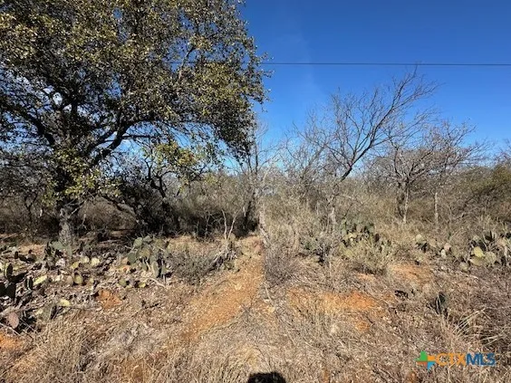 Cedar Drive Granite Shoals, TX 78654