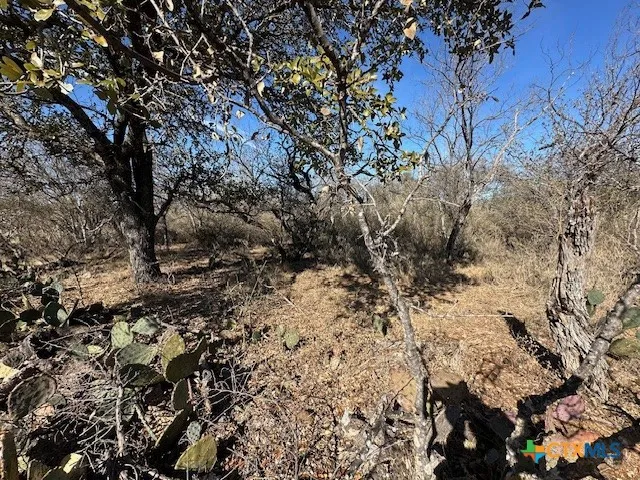Cedar Drive Granite Shoals, TX 78654
