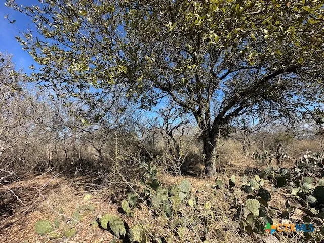 Cedar Drive Granite Shoals, TX 78654