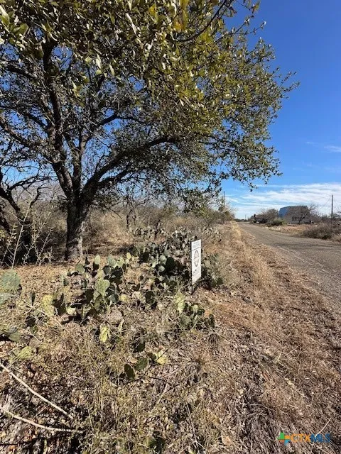 Cedar Drive Granite Shoals, TX 78654