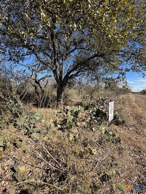 Cedar Drive Granite Shoals, TX 78654