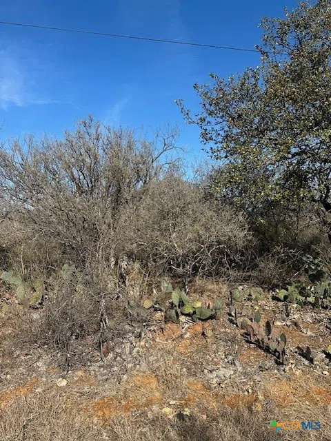 Cedar Drive Granite Shoals, TX 78654