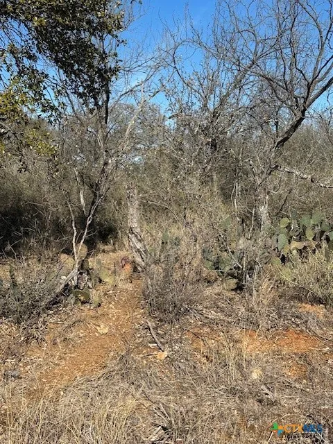 Cedar Drive Granite Shoals, TX 78654