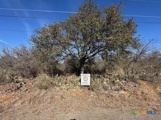 Cedar Drive Granite Shoals, TX 78654