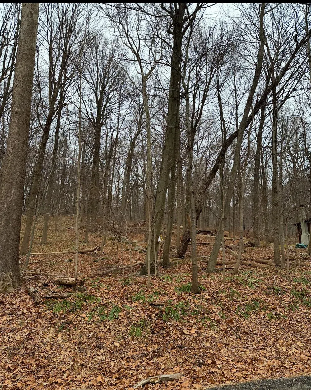 12 Laura Lane Hopewell Junction, NY 12533