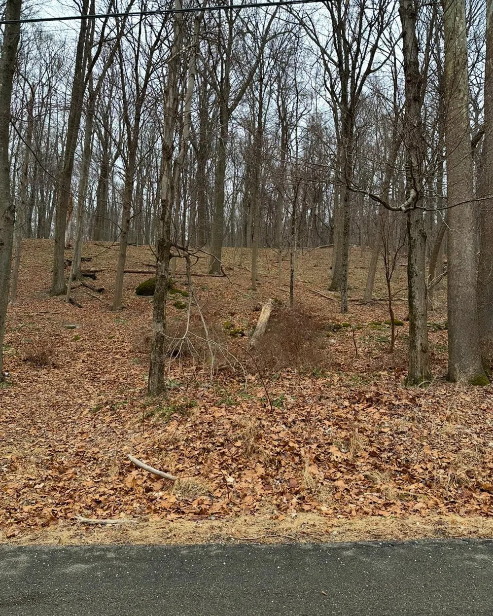 16 Laura Lane Hopewell Junction, NY 12533