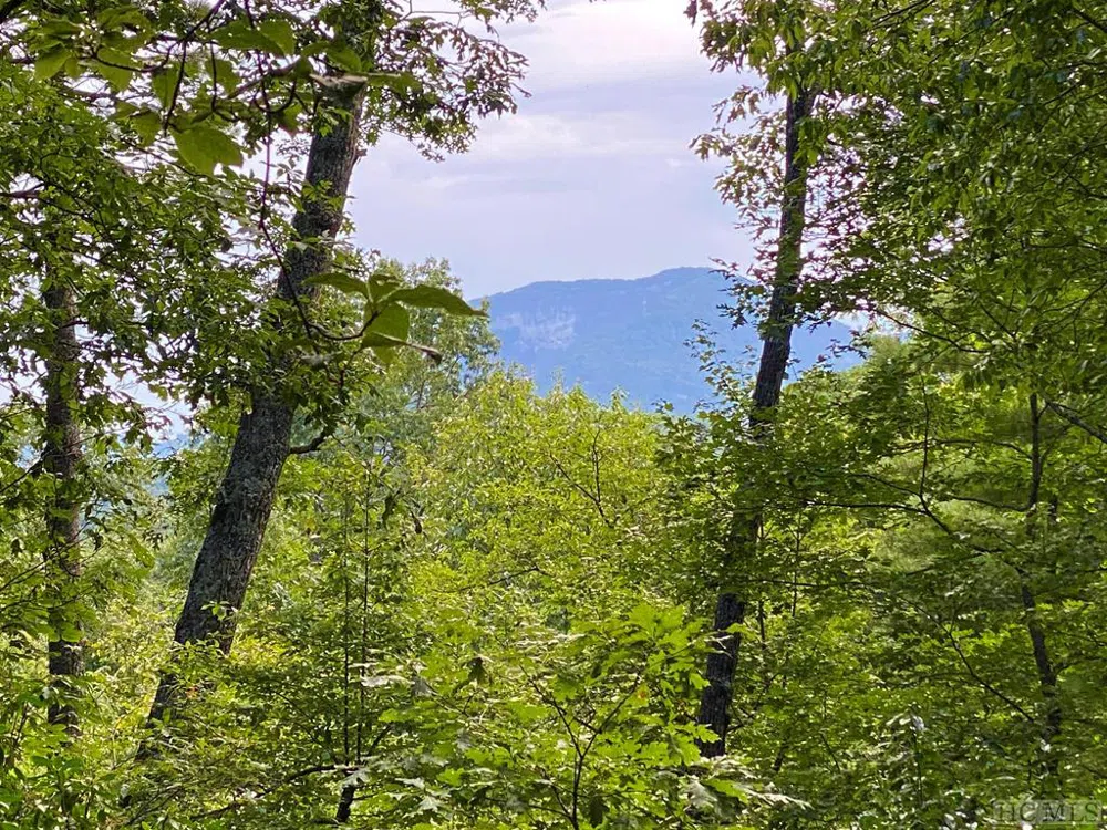 Lot E6 Chimney Top Trail Cashiers, NC 28717