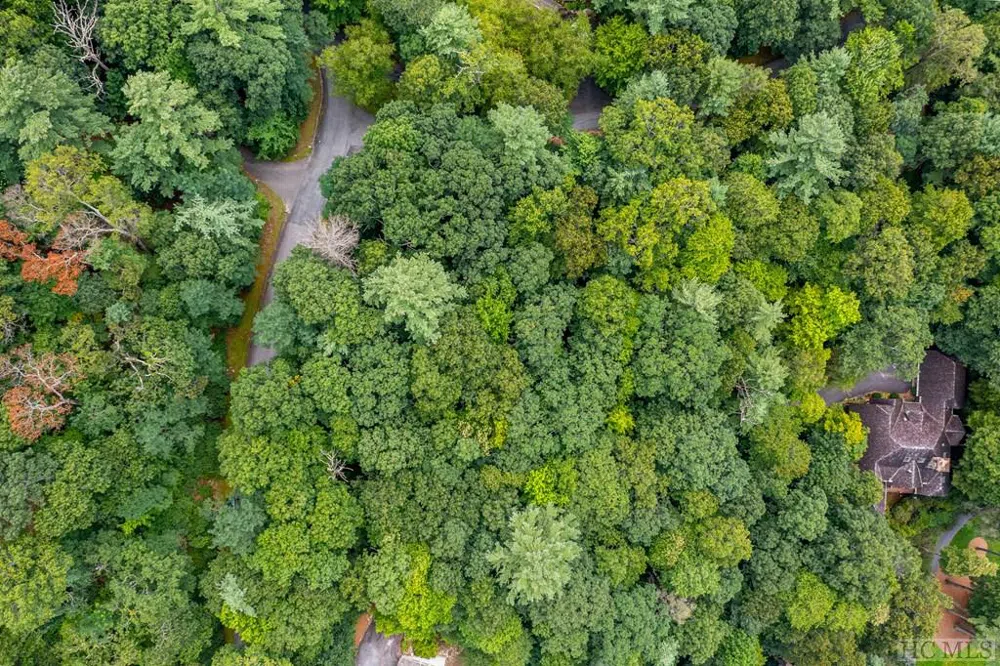 Lot E6 Chimney Top Trail Cashiers, NC 28717