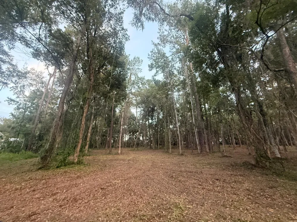 0 SE 40TH AVENUE Belleview, FL 34420