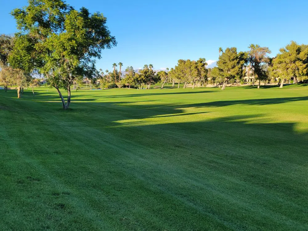 29348 W Laguna Drive Cathedral City, CA 92234