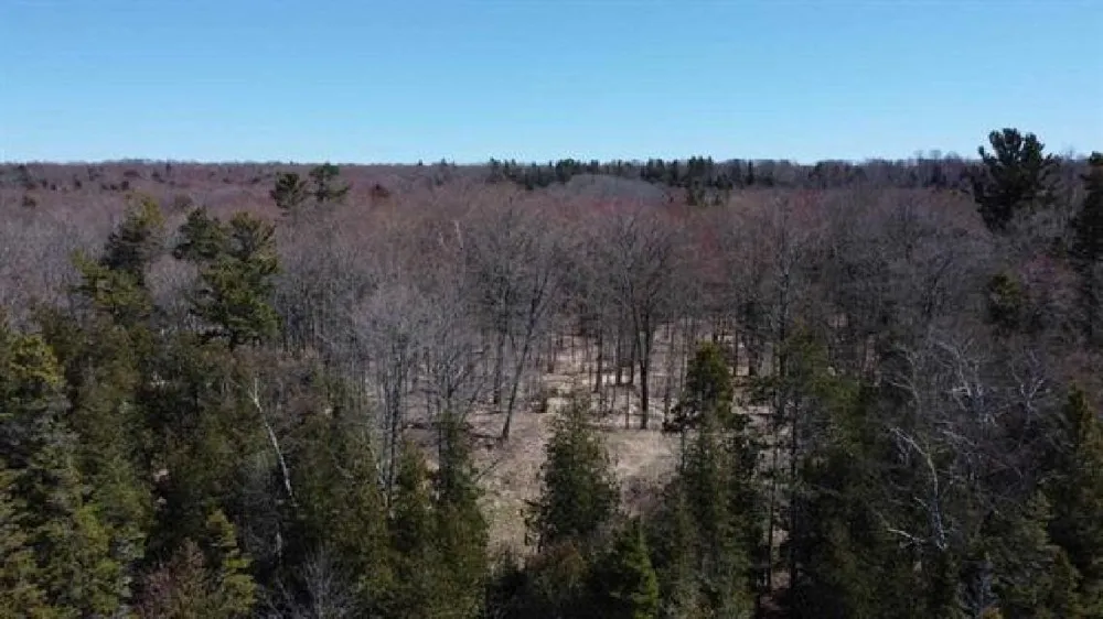 Greene Drive Peaine Township, MI 49782