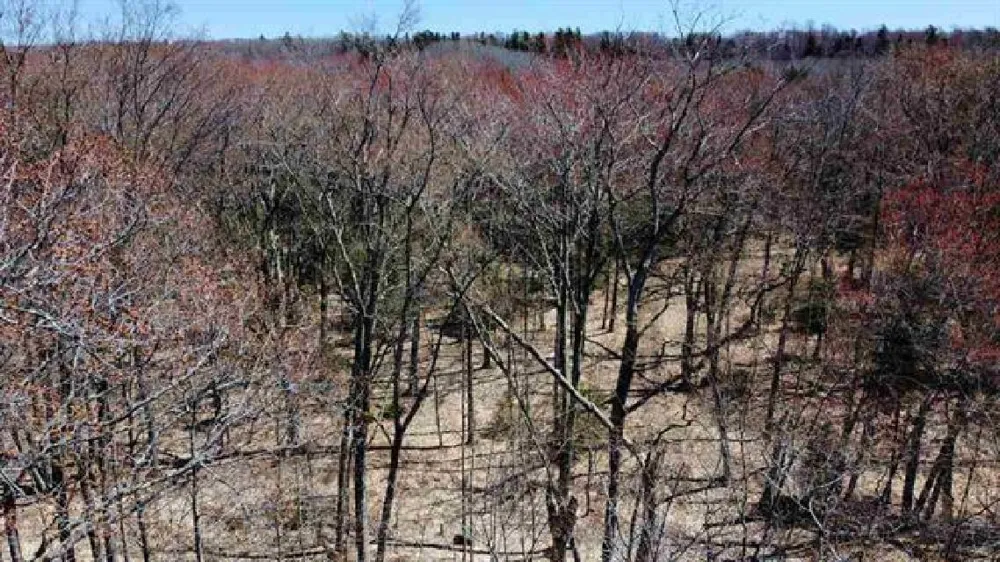 Greene Drive Peaine Township, MI 49782