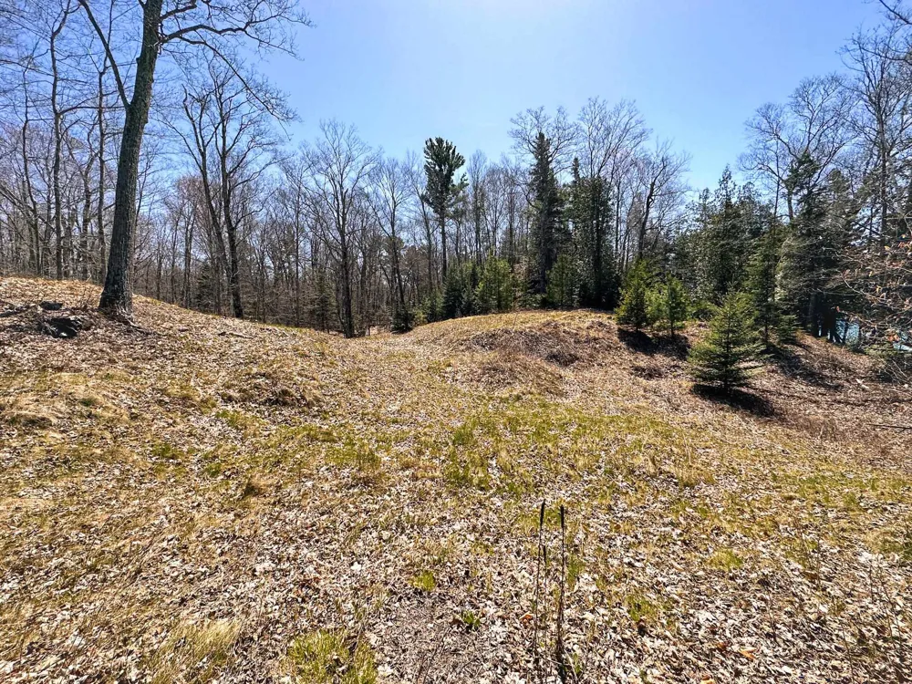 Greene Drive Peaine Township, MI 49782