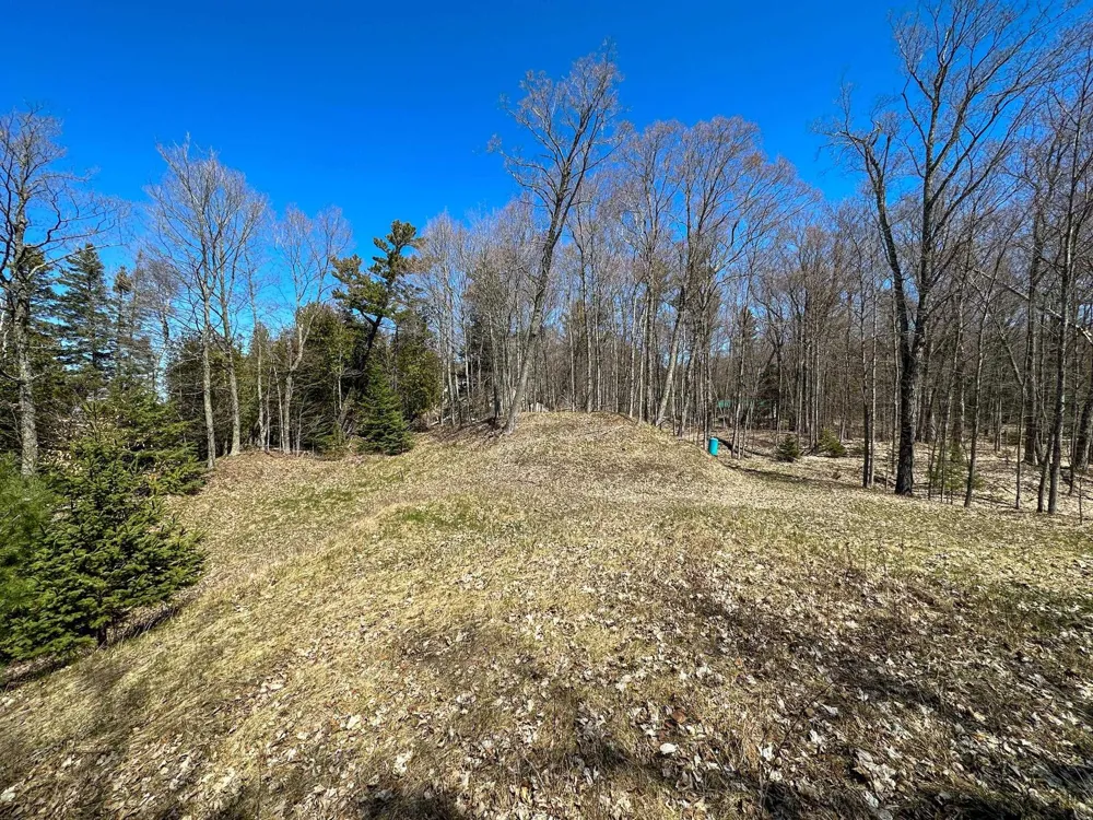 Greene Drive Peaine Township, MI 49782