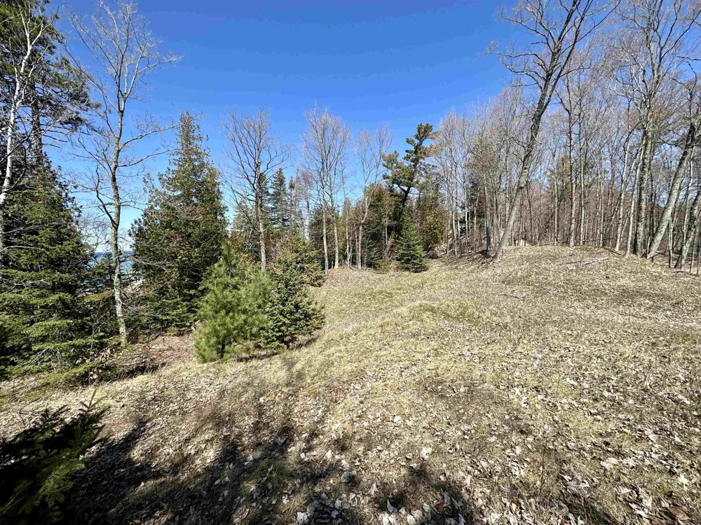 Greene Drive Peaine Township, MI 49782