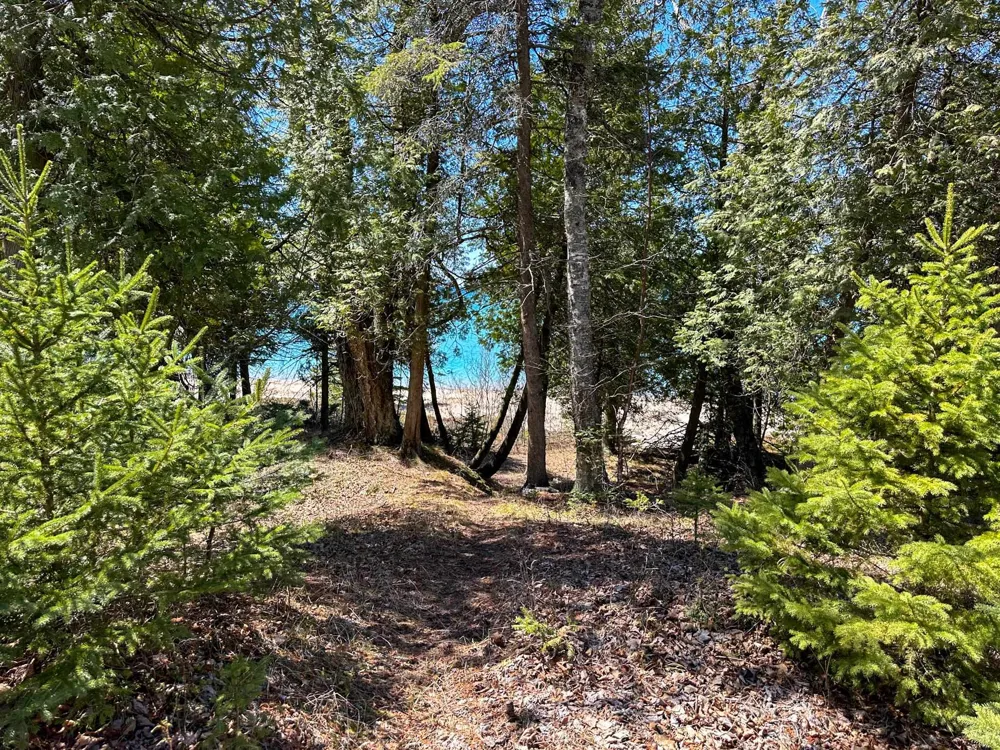 Greene Drive Peaine Township, MI 49782