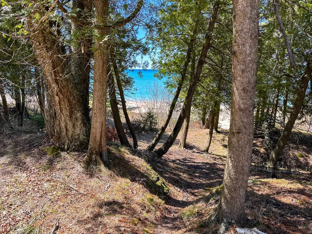 Greene Drive Peaine Township, MI 49782