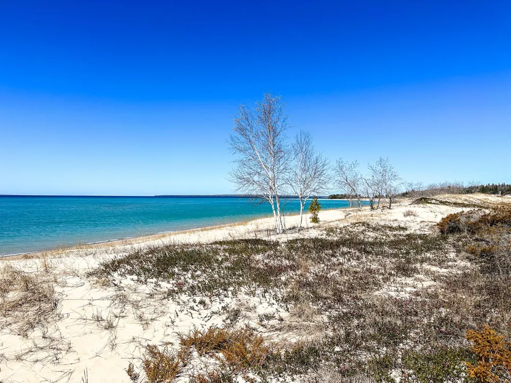 Greene Drive Peaine Township, MI 49782