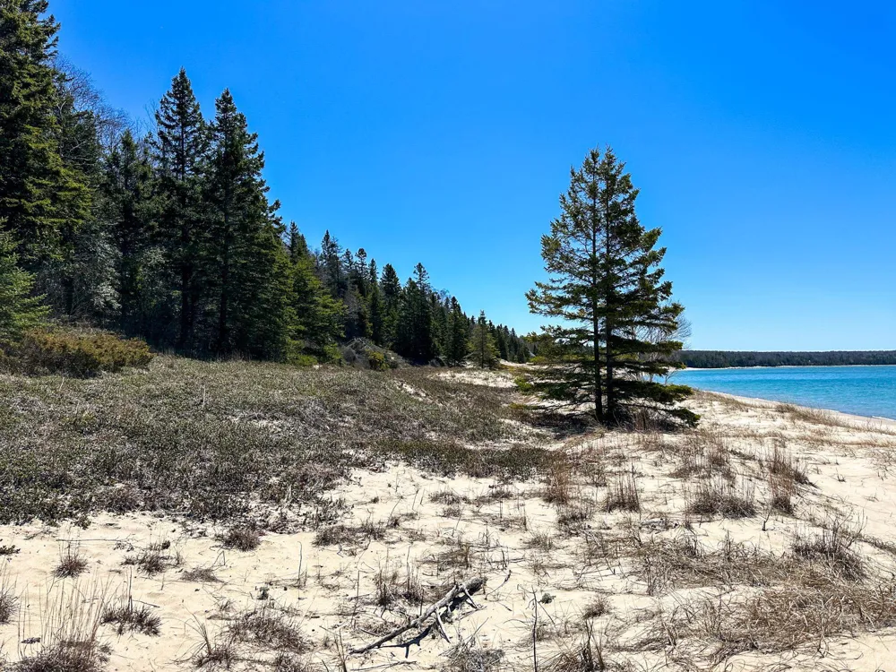 Greene Drive Peaine Township, MI 49782