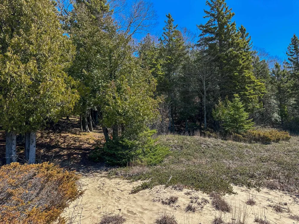 Greene Drive Peaine Township, MI 49782