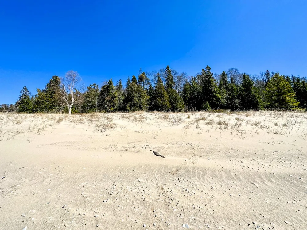 Greene Drive Peaine Township, MI 49782